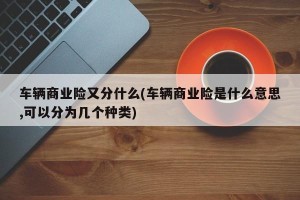 车辆商业险又分什么(车辆商业险是什么意思,可以分为几个种类)