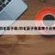 羽毛笛子扇/羽毛笛子扇是哪个式神