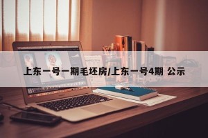 上东一号一期毛坯房/上东一号4期 公示
