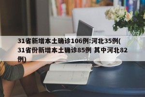 31省新增本土确诊106例:河北35例(31省份新增本土确诊85例 其中河北82例)