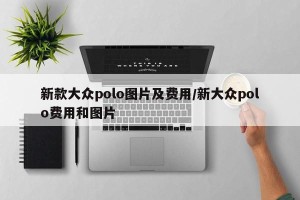 新款大众polo图片及费用/新大众polo费用和图片