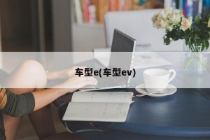 车型e(车型ev)