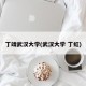 丁靖武汉大学(武汉大学 丁虹)