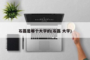 石磊是哪个大学的(石磊 大学)