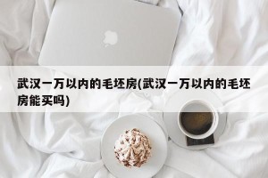 武汉一万以内的毛坯房(武汉一万以内的毛坯房能买吗)