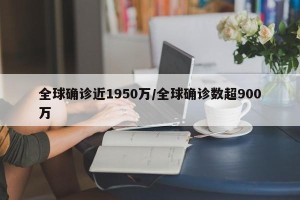 全球确诊近1950万/全球确诊数超900万