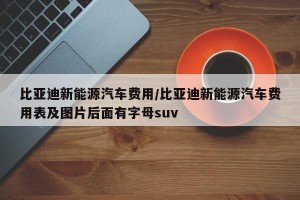 比亚迪新能源汽车费用/比亚迪新能源汽车费用表及图片后面有字母suv