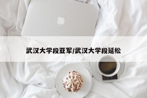 武汉大学段亚军/武汉大学段延松