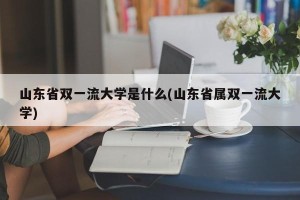 山东省双一流大学是什么(山东省属双一流大学)