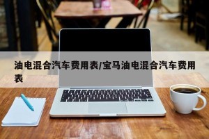 油电混合汽车费用表/宝马油电混合汽车费用表